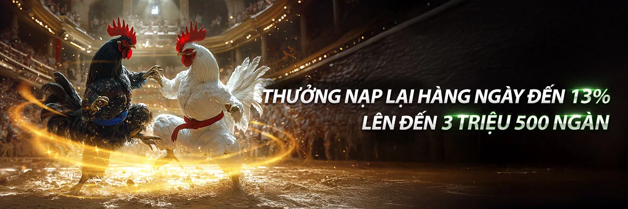 Hướng dẫn chơi đá gà ae3888 chi tiết